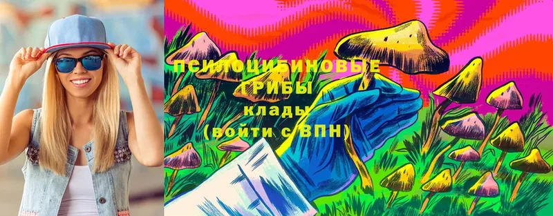 Галлюциногенные грибы Magic Shrooms  Боровск 